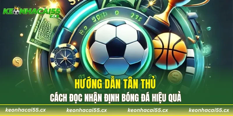 Hướng dẫn tân thủ cách đọc nhận định bóng đá hiệu quả